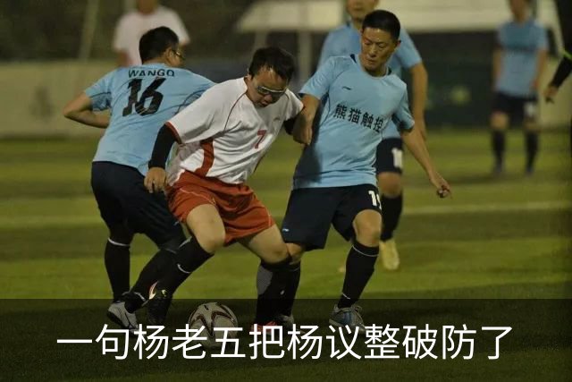 一句杨老五把杨议整破防了