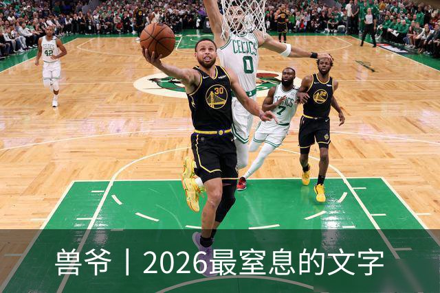 兽爷丨2026最窒息的文字