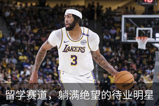 留学赛道，躺满绝望的待业明星