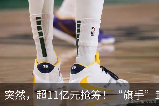 突然，超11亿元抢筹！“旗手”封死涨停，发生了什么？