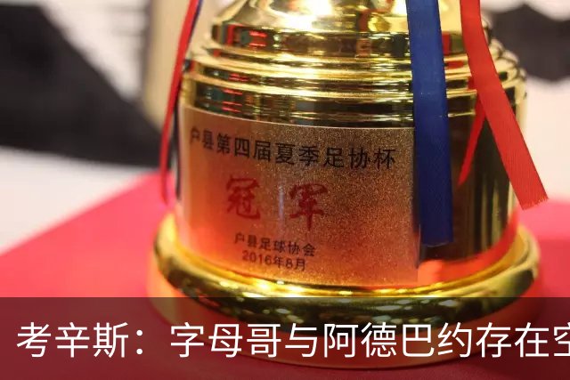 考辛斯：字母哥与阿德巴约存在空间问题，欧文能帮热火