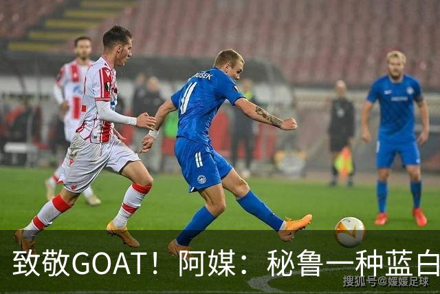 致敬GOAT！阿媒：秘鲁一种蓝白色小花被命名梅西鼠尾草