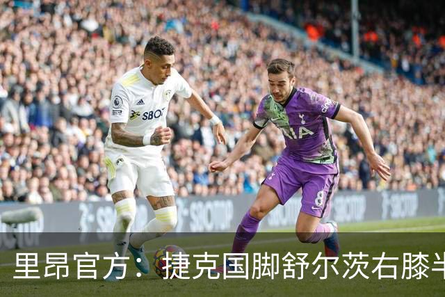 里昂官方：捷克国脚舒尔茨右膝半月板受伤，预计缺阵约4个月