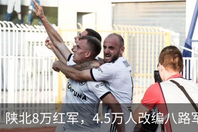 陕北8万红军，4.5万人改编八路军，另外3.5万人毛主席的安排真妙