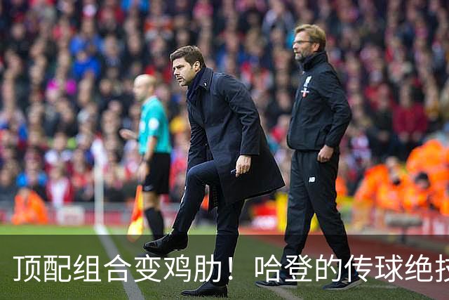 顶配组合变鸡肋！哈登的传球绝技，被骑士双塔直接废掉！