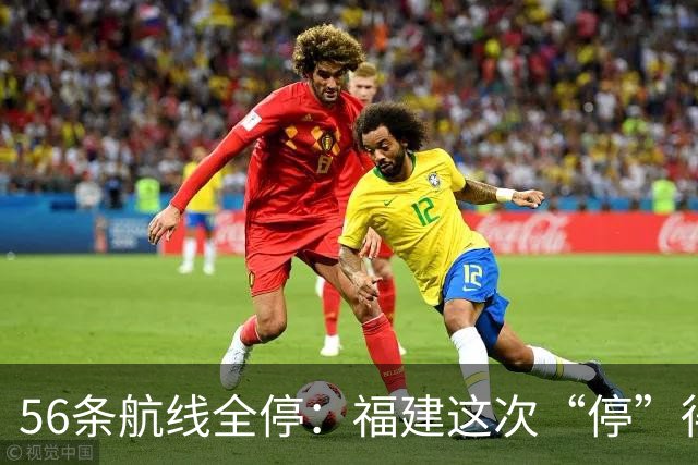 56条航线全停：福建这次“停”得比台风还快